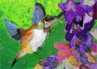 Card with a painting of a hummingbird feeding on purple flowers with a colorful background