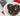 Chocolate cookies with white chips on a white plate, with a red napkin underneath.