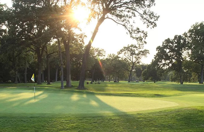 Putting green at golf course with trees on a sunny day