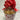 Bouquet of popcorn in a decorative paper cone with a red bow on a tiled wall background